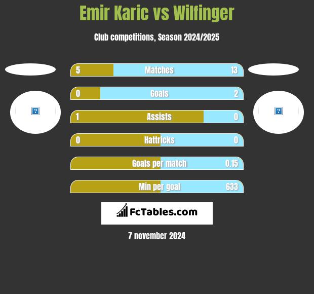 Emir Karic vs Wilfinger h2h player stats