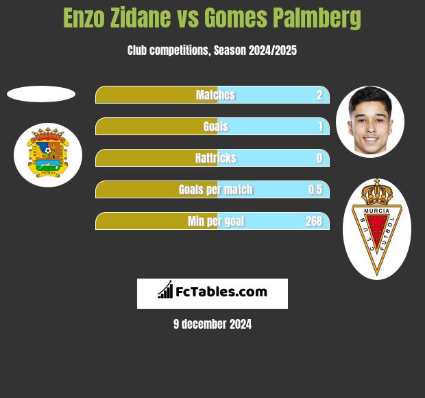 Enzo Zidane vs Gomes Palmberg h2h player stats