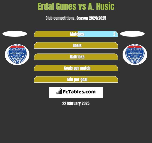 Erdal Gunes vs A. Husic h2h player stats