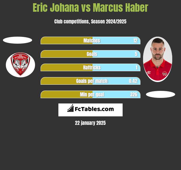 Eric Johana vs Marcus Haber h2h player stats