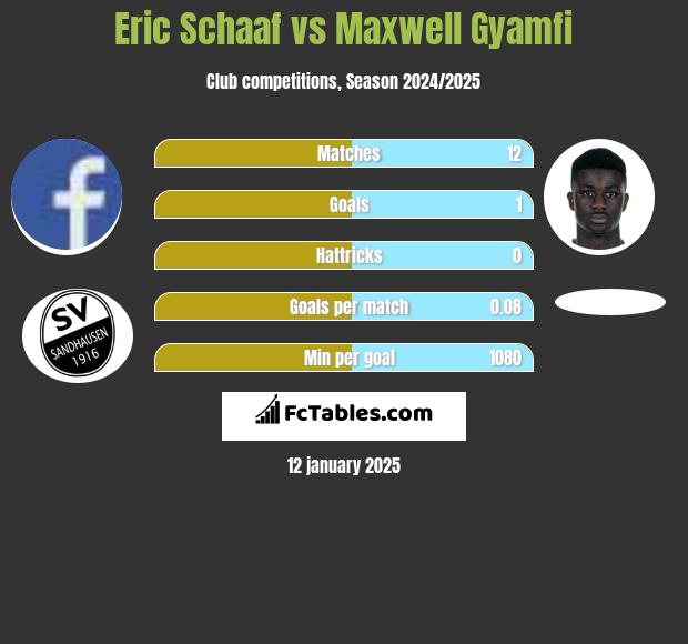 Eric Schaaf vs Maxwell Gyamfi h2h player stats