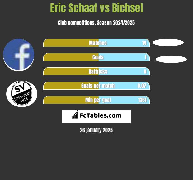 Eric Schaaf vs Bichsel h2h player stats