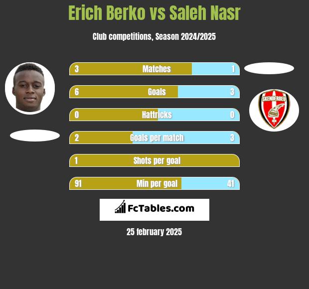 Erich Berko vs Saleh Nasr h2h player stats