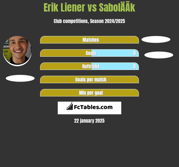 Erik Liener vs SabolÄÃ­k h2h player stats