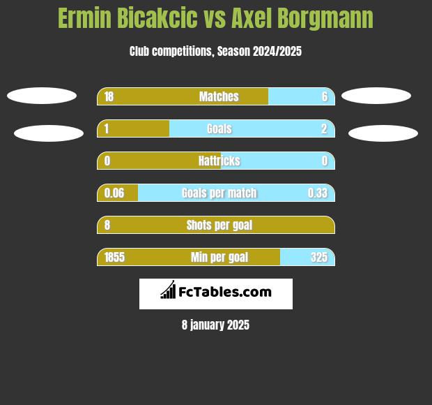 Ermin Bicakcic vs Axel Borgmann h2h player stats