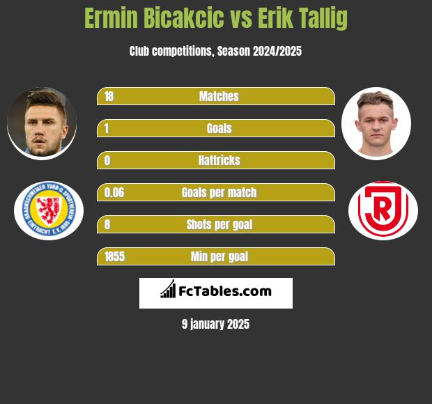 Ermin Bicakcić vs Erik Tallig h2h player stats