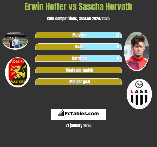 Erwin Hoffer vs Sascha Horvath h2h player stats