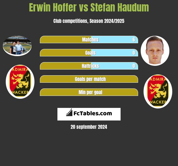 Erwin Hoffer vs Stefan Haudum h2h player stats