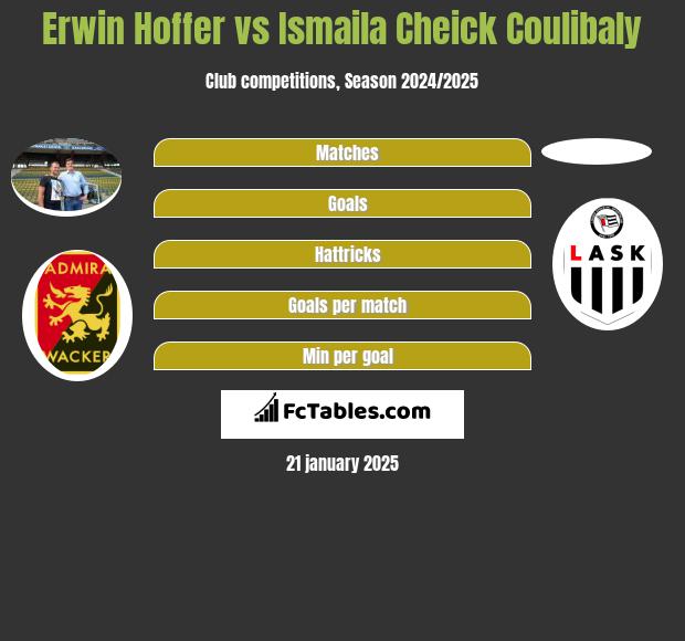 Erwin Hoffer vs Ismaila Cheick Coulibaly h2h player stats