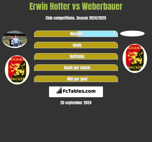 Erwin Hoffer vs Weberbauer h2h player stats