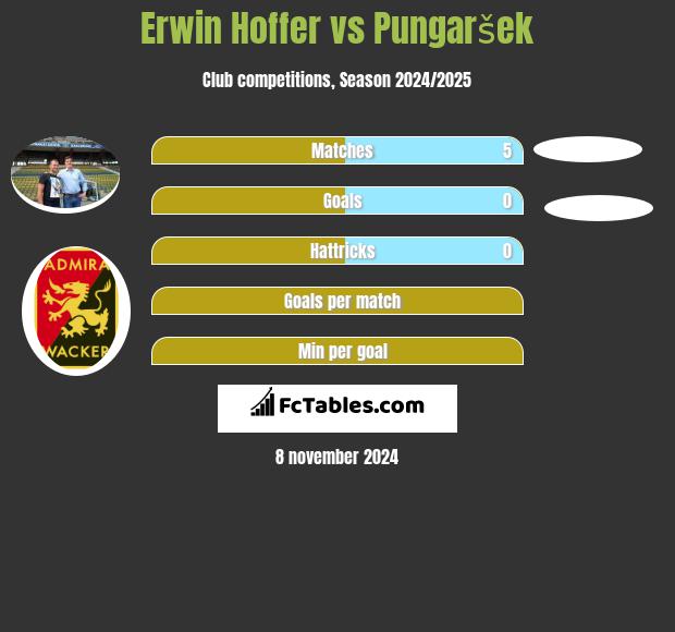 Erwin Hoffer vs Pungaršek h2h player stats