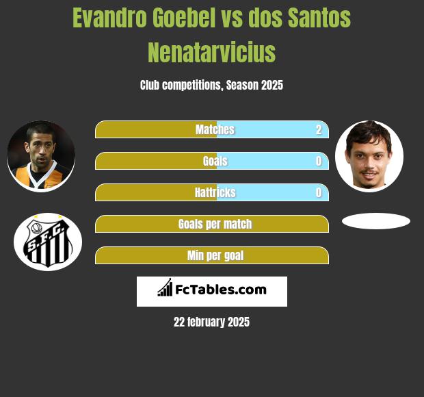 Evandro Goebel vs dos Santos Nenatarvicius h2h player stats