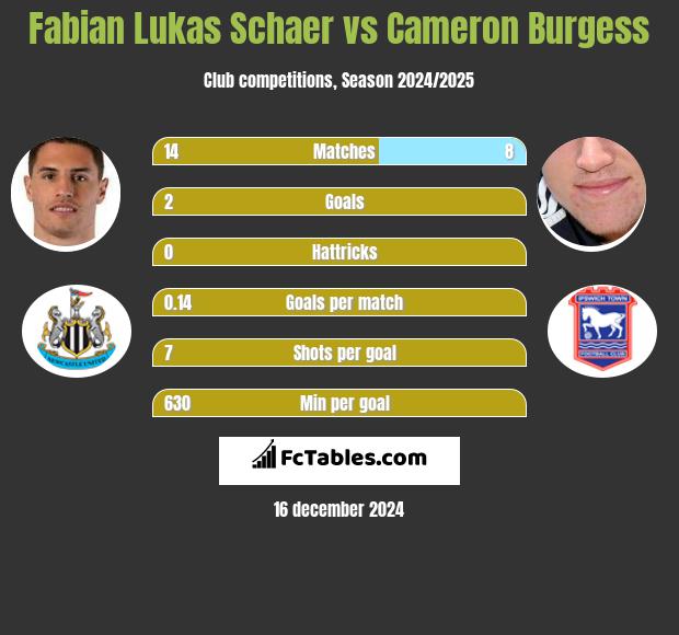 Fabian Lukas Schaer vs Cameron Burgess h2h player stats