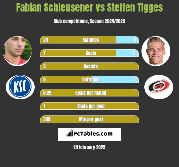 Fabian Schleusener vs Steffen Tigges h2h player stats