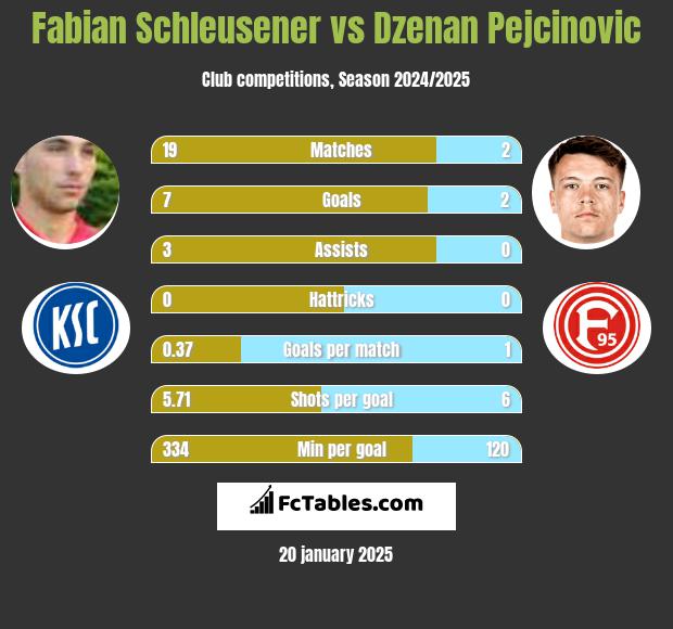 Fabian Schleusener vs Dzenan Pejcinovic h2h player stats