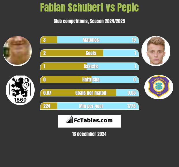 Fabian Schubert vs Pepic h2h player stats