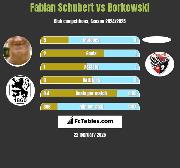 Fabian Schubert vs Borkowski h2h player stats