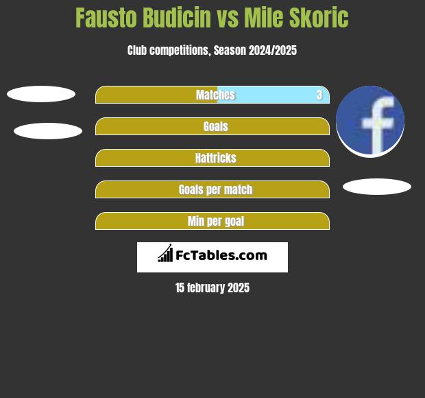 Fausto Budicin vs Mile Skoric h2h player stats