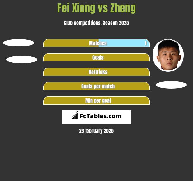 Fei Xiong vs Zheng h2h player stats