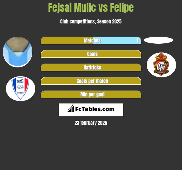 Fejsal Mulic vs Felipe h2h player stats