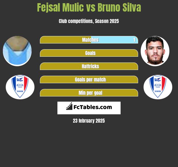 Fejsal Mulic vs Bruno Silva h2h player stats