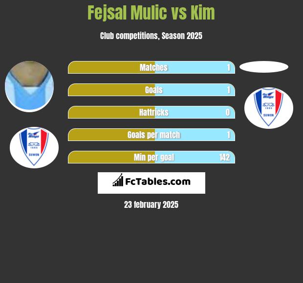 Fejsal Mulic vs Kim h2h player stats