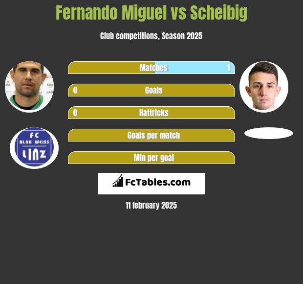 Fernando Miguel vs Scheibig h2h player stats