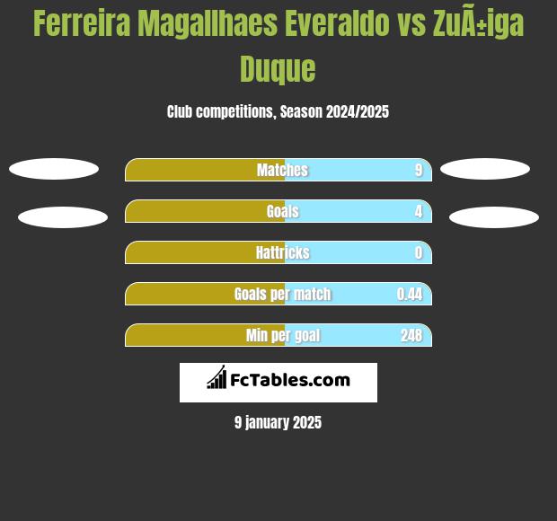 Ferreira Magallhaes Everaldo vs ZuÃ±iga Duque h2h player stats