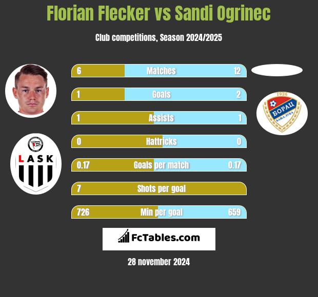 Florian Flecker vs Sandi Ogrinec h2h player stats