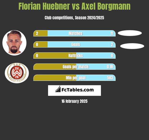 Florian Huebner vs Axel Borgmann h2h player stats