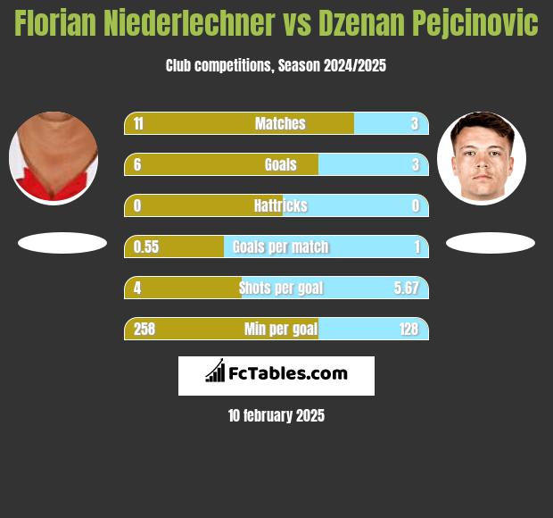 Florian Niederlechner vs Dzenan Pejcinovic h2h player stats