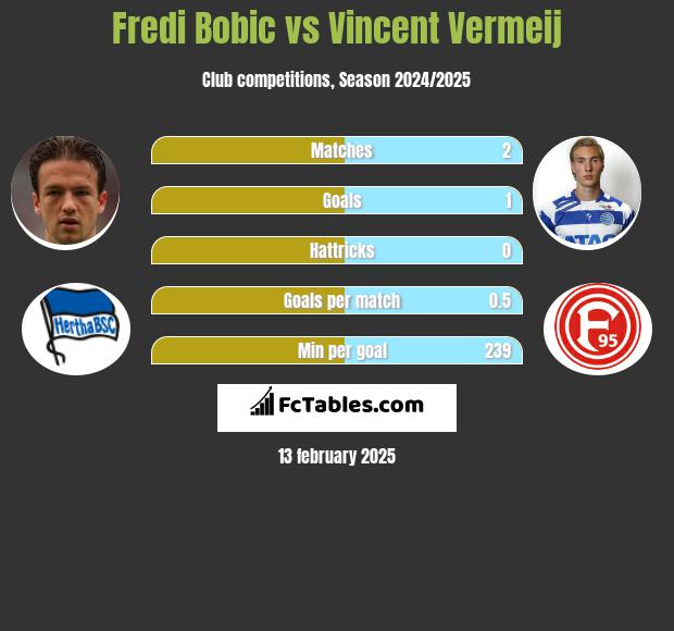 Fredi Bobic vs Vincent Vermeij h2h player stats