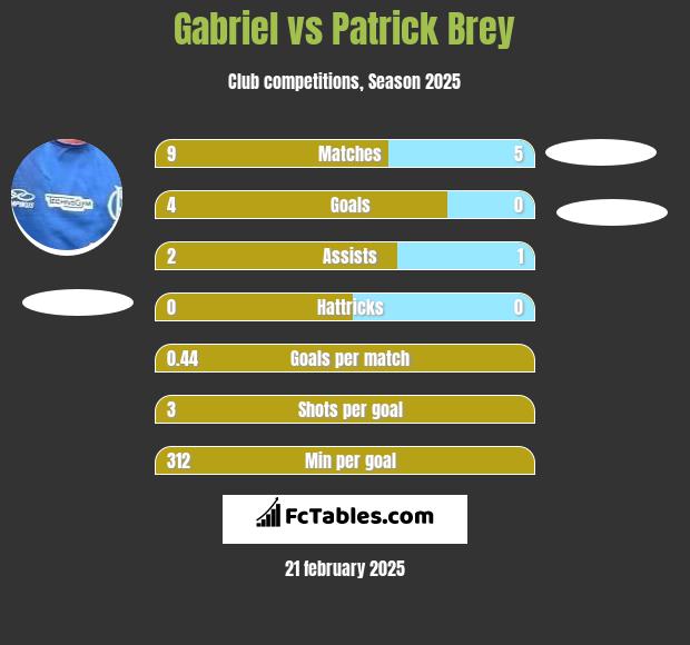 Gabriel vs Patrick Brey h2h player stats