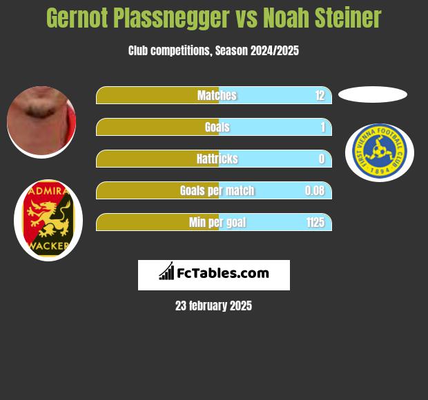 Gernot Plassnegger vs Noah Steiner h2h player stats