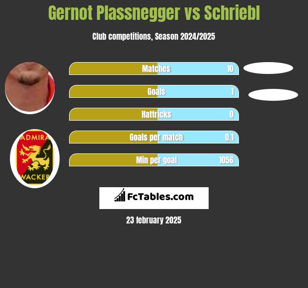 Gernot Plassnegger vs Schriebl h2h player stats