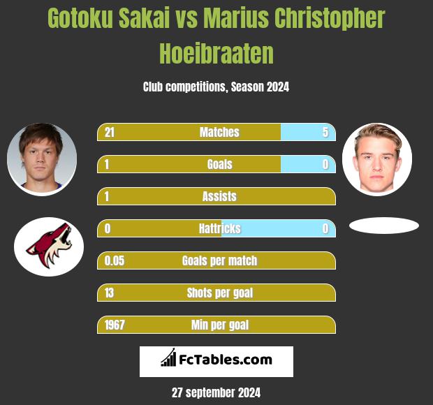 Gotoku Sakai vs Marius Christopher Hoeibraaten h2h player stats