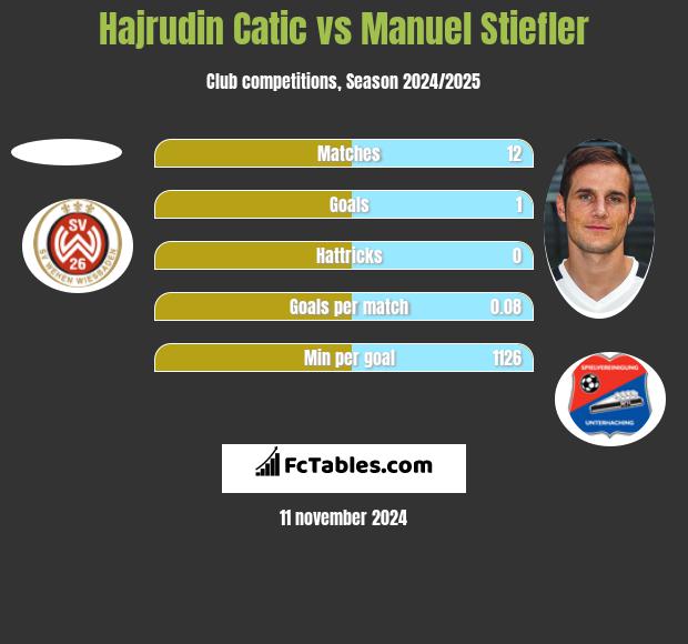 Hajrudin Catic vs Manuel Stiefler h2h player stats