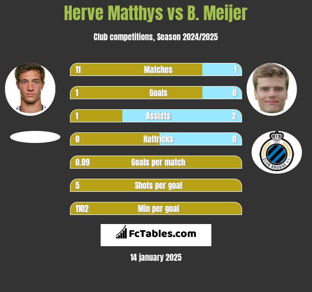 Herve Matthys vs B. Meijer h2h player stats