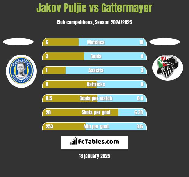 Jakov Puljic vs Gattermayer h2h player stats