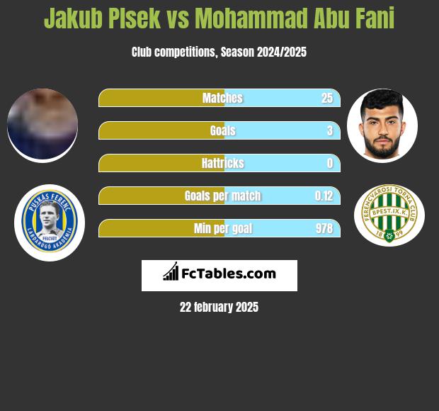 Jakub Plsek vs Mohammad Abu Fani h2h player stats