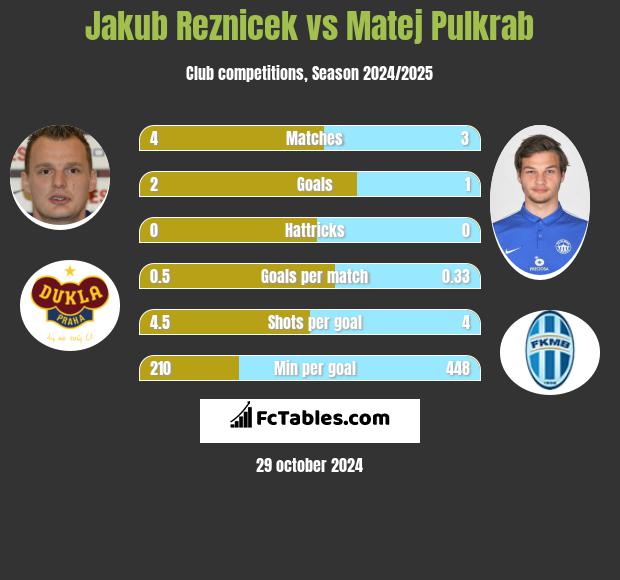 Jakub Reznicek vs Matej Pulkrab h2h player stats