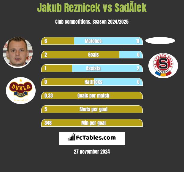 Jakub Reznicek vs SadÃ­lek h2h player stats