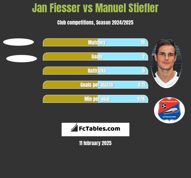 Jan Fiesser vs Manuel Stiefler h2h player stats