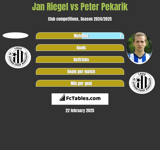 Jan Riegel vs Peter Pekarik h2h player stats