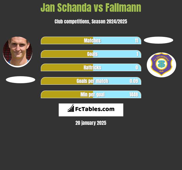 Jan Schanda vs Fallmann h2h player stats