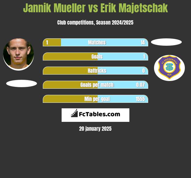 Jannik Mueller vs Erik Majetschak h2h player stats