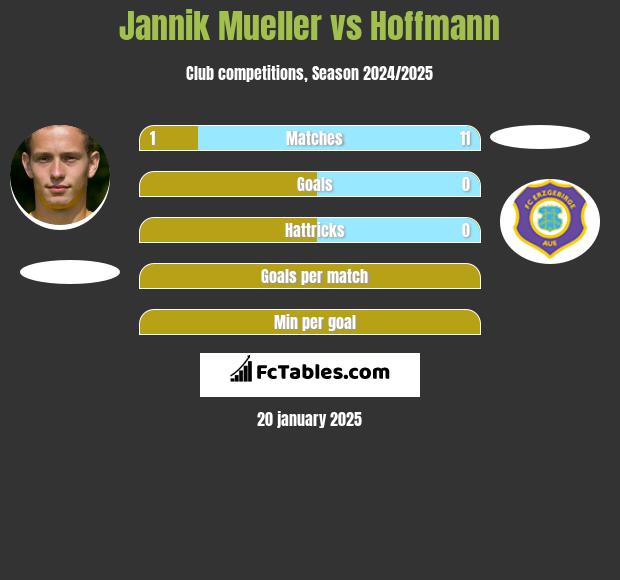 Jannik Mueller vs Hoffmann h2h player stats