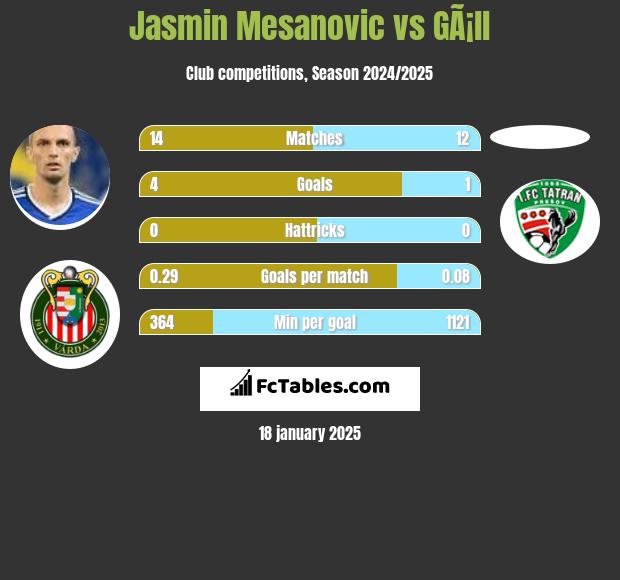 Jasmin Mesanovic vs GÃ¡ll h2h player stats