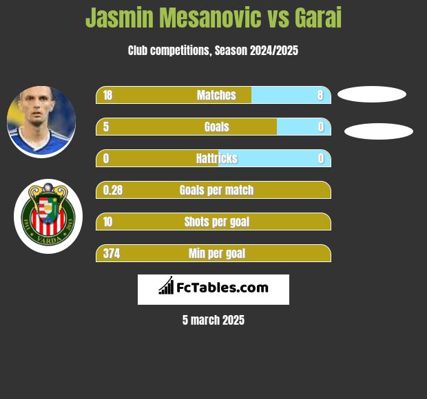 Jasmin Mesanovic vs Garai h2h player stats