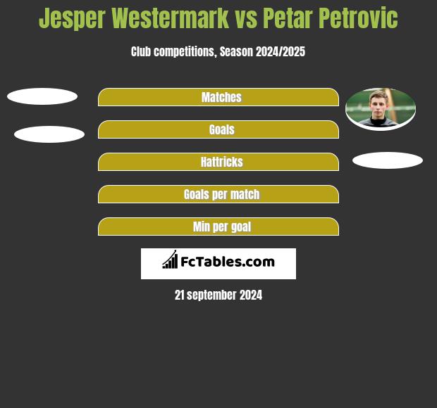 Jesper Westermark vs Petar Petrovic h2h player stats